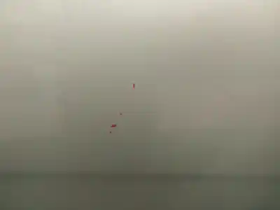 Pezzo di ricambio per auto di seconda mano porta posteriore sinistra per seat leon (1p1) 1.9 tdi riferimenti oem iam   