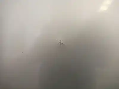 Second-hand car spare part bonnet for bmw 3 (e46) 320 d oem iam references   