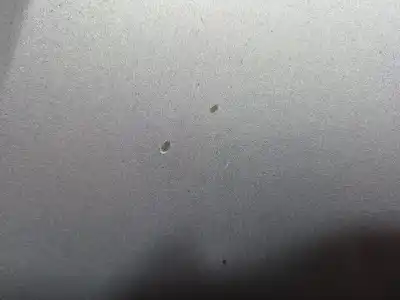 Peça sobressalente para automóvel em segunda mão capot por seat leon (1p1) 1.6 tdi referências oem iam   