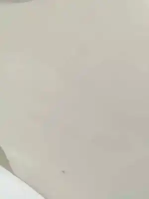 Second-hand car spare part rear right door for bmw x3 (e83) 2.0 turbodiesel cat oem iam references   