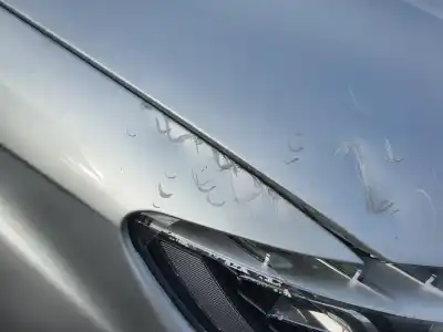 Pezzo di ricambio per auto di seconda mano cofano per audi q7 (4l) v6 3.0 tdi (176kw) ambiente riferimenti oem iam   