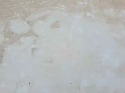 Second-hand car spare part bonnet for renault kangoo express 1.5 dci oem iam references   