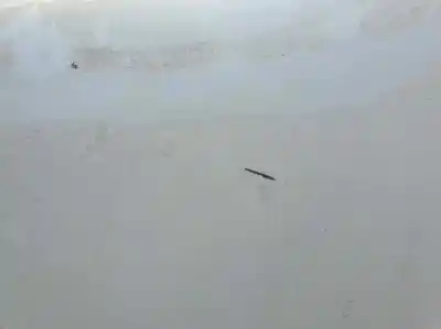 Second-hand car spare part left front fin for renault kangoo express 1.5 dci oem iam references   