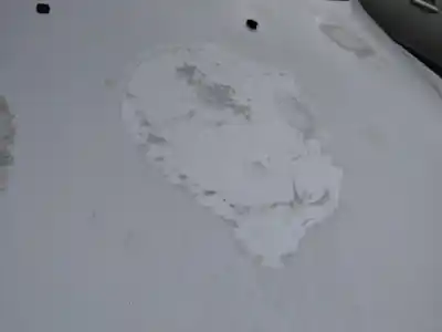 Second-hand car spare part bonnet for bmw 5 (e39) 530 d oem iam references   