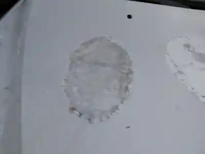 Second-hand car spare part bonnet for bmw 5 (e39) 530 d oem iam references   