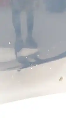 Peça sobressalente para automóvel em segunda mão capot por bmw x3 (e83) 3.0 d referências oem iam   