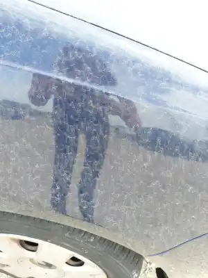 Peça sobressalente para automóvel em segunda mão GUARDA-LAMAS DIANTEIRO DIREITO por VOLKSWAGEN POLO (9N_, 9A_)  Referências OEM IAM   