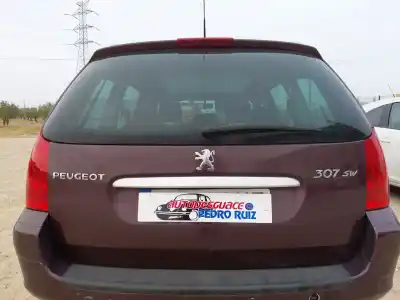 Автозапчастина б/у ЗАГАЛЬНІ ДВЕРІ для PEUGEOT 307 SW (3H)  Посилання на OEM IAM   