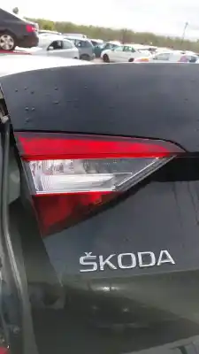 Автозапчастина б/у  для SKODA SUPERB III (3V3)  Посилання на OEM IAM    Автозапчастина б/у  для SKODA SUPERB III (3V3)  Посилання на OEM IAM