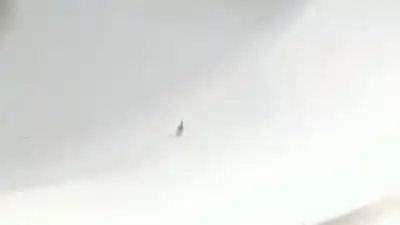 Second-hand car spare part tailgate for ford kuga i 2.0 tdci oem iam references   