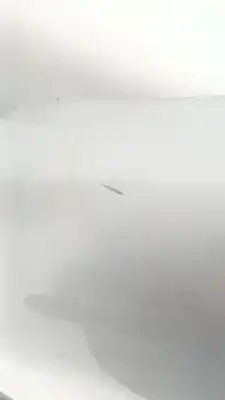 Peça sobressalente para automóvel em segunda mão capot por mini mini countryman (r60) one d referências oem iam   