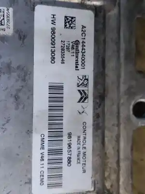 Peça sobressalente para automóvel em segunda mão centralina de motor uce por citroen c3 elle referências oem iam 9819657880  estantería 41