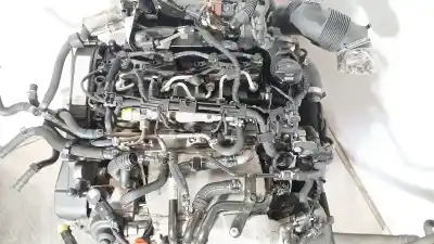 Pezzo di ricambio per auto di seconda mano motore completo per seat leon (5f1) 1.6 tdi riferimenti oem iam clh  clh104090