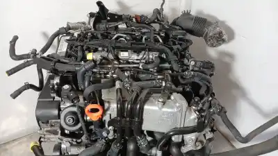 Pezzo di ricambio per auto di seconda mano motore completo per seat leon (5f1) 1.6 tdi riferimenti oem iam clh  clh104090