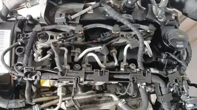 Pezzo di ricambio per auto di seconda mano motore completo per seat leon (5f1) 1.6 tdi riferimenti oem iam clh  clh104090