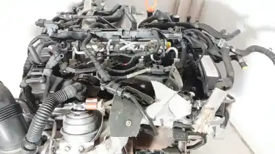 Pezzo di ricambio per auto di seconda mano motore completo per seat leon (5f1) 1.6 tdi riferimenti oem iam clh  clh104090