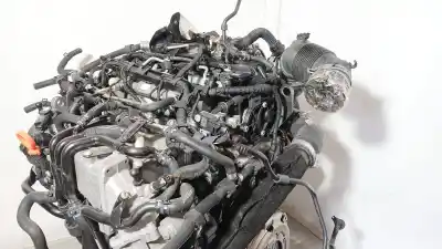 Pezzo di ricambio per auto di seconda mano motore completo per seat leon (5f1) 1.6 tdi riferimenti oem iam clh  clh104090