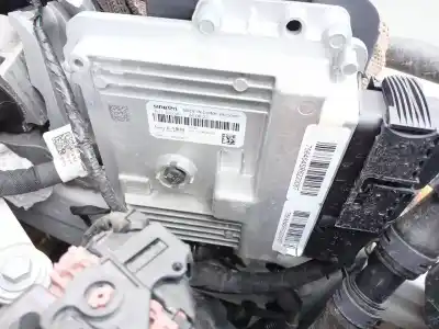 Peça sobressalente para automóvel em segunda mão  por MG MG3 HYBRID+  Referências OEM IAM 1174646401  R6220087