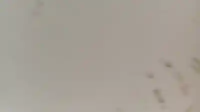 Second-hand car spare part rim for land rover discovery (salljg/lj) 2.5 turbodiesel oem iam references ntc5193  