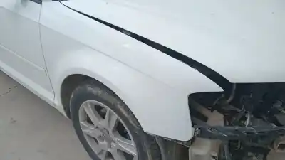 Peça sobressalente para automóvel em segunda mão guarda-lamas dianteiro direito por audi a3 (8p1) 1.6 tdi referências oem iam 8p0821106g