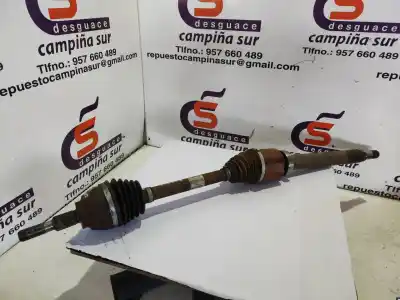 Gebrauchtes Autoersatzteil getriebe vorne rechts zum ford mondeo turn. 2.0 ecoblue cat oem-iam-referenzen dg913b436jh