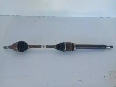 Pezzo di ricambio per auto di seconda mano trasmissione anteriore destra per ford focus lim. 1.0 ecoboost cat riferimenti oem iam bv613b436tb