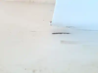 Автозапчасти б/у дверь задняя правая за ford fiesta vi (cb1, ccn) 1.25 ссылки oem iam 1692501  