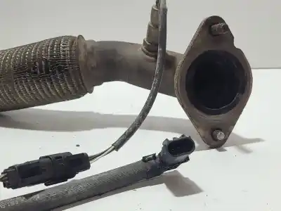 Peça sobressalente para automóvel em segunda mão catalisador / filtro de particulas por ford focus lim. trend referências oem iam am519n454  