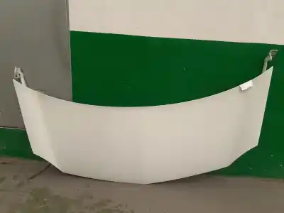 Pezzo di ricambio per auto di seconda mano cofano per renault kangoo dynamique acción especial riferimenti oem iam   