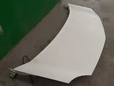 Pezzo di ricambio per auto di seconda mano cofano per renault kangoo dynamique acción especial riferimenti oem iam   