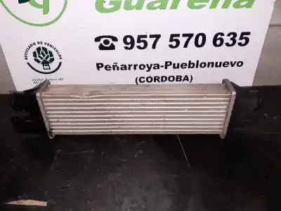 Pezzo di ricambio per auto di seconda mano Intercooler per SSANGYONG REXTON 2.7 Turbodiesel CAT Riferimenti OEM IAM Y2202371008050  