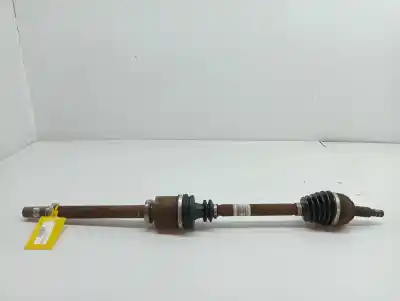 İkinci el araba yedek parçası  için RENAULT MEGANE II BERLINA 3P  OEM IAM referansları 8200790517  