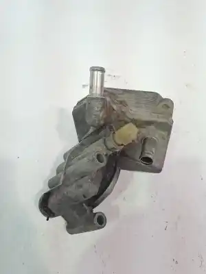 Автозапчасти б/у охладитель моторного масла за ford transit connect (tc7) 1.8 tdci cat ссылки oem iam 1405017 bk2q6b624 2m5q6b624bd
