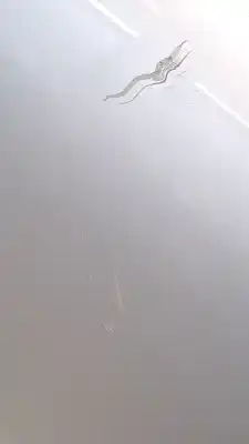 Автозапчастина б/у передні праві двері для mg ehs * посилання на oem iam   