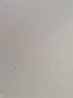 Автозапчастина б/у передні праві двері для suzuki swift iii (mz, ez) 1.3 (rs 413) посилання на oem iam 6800162k00000  