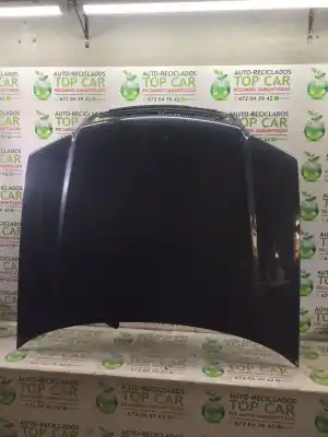 Peça sobressalente para automóvel em segunda mão CAPOT por AUDI A6 BERLINA (4B2)  Referências OEM IAM 4B0823029D  