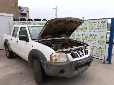 Pezzo di ricambio per auto di seconda mano ALTERNATORE per NISSAN PICK-UP (D22)  Riferimenti OEM IAM 23100VK010  