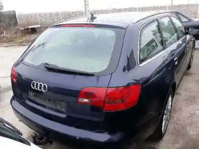 Pezzo di ricambio per auto di seconda mano DIFFERENZIALE POSTERIORE per AUDI A6 AVANT (4F5)  Riferimenti OEM IAM 0AR500043R  