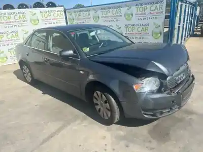 Peça sobressalente para automóvel em segunda mão guarda-lamas dianteiro direito por audi a4 berlina (8e) 1.8 20v turbo referências oem iam 