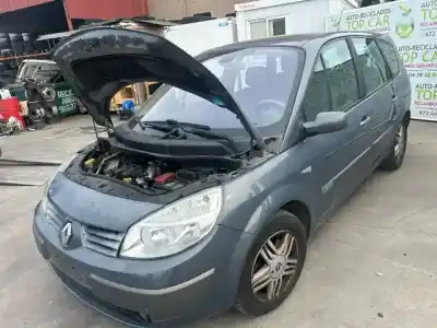 Автозапчастина б/у ПЕРЕДНІ ЛІВІ ДВЕРІ для RENAULT SCENIC II (JM)  Посилання на OEM IAM   