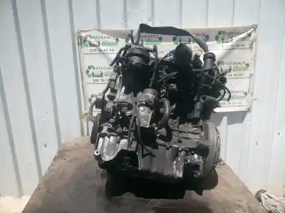 Pezzo di ricambio per auto di seconda mano MOTORE COMPLETO per FORD FOCUS BERLINA (CAP)  Riferimenti OEM IAM G6DA  