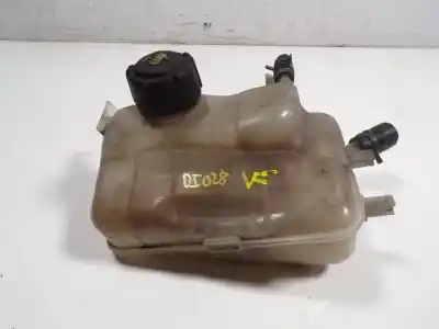 Tweedehands auto-onderdeel UITBREIDING AANBETALING voor RENAULT MEGANE III COUPÉ (DZ0/1_)  OEM IAM-referenties 217100005R  217100005R