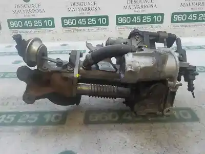 Peça sobressalente para automóvel em segunda mão Válvula Egr por RENAULT SCENIC III 1.5 dCi Diesel FAP Referências OEM IAM   