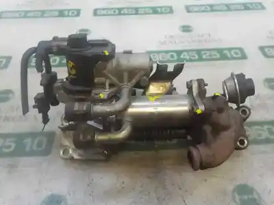 Peça sobressalente para automóvel em segunda mão válvula egr por renault scenic iii 1.5 dci diesel fap referências oem iam   