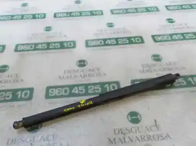 Автозапчасти б/у амортизаторы багажника/двери за bmw x5 (e70) 3.0 turbodiesel ссылки oem iam   