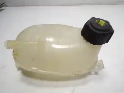 Автозапчастина б/у розширення депозит для DACIA SANDERO 0.9 TCE Посилання на OEM IAM   217102572B