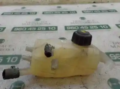 Автозапчасти б/у расширительный депозит за renault scénic iii (jz0/1_) 1.5 dci ссылки oem iam 217100005r  