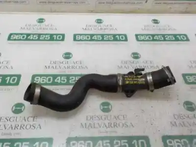 Peça sobressalente para automóvel em segunda mão tubo por ford focus lim. (cb8) 1.0 ecoboost cat referências oem iam 1877723