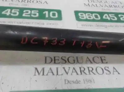 Peça sobressalente para automóvel em segunda mão amortecedor traseiro esquerdo por ford focus lim. (cb8) trend referências oem iam 1751388  