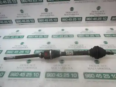 Pezzo di ricambio per auto di seconda mano guida destra per peugeot partner kombi active riferimenti oem iam 